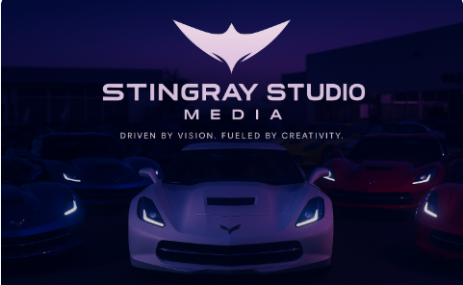 Stingray Studio Media